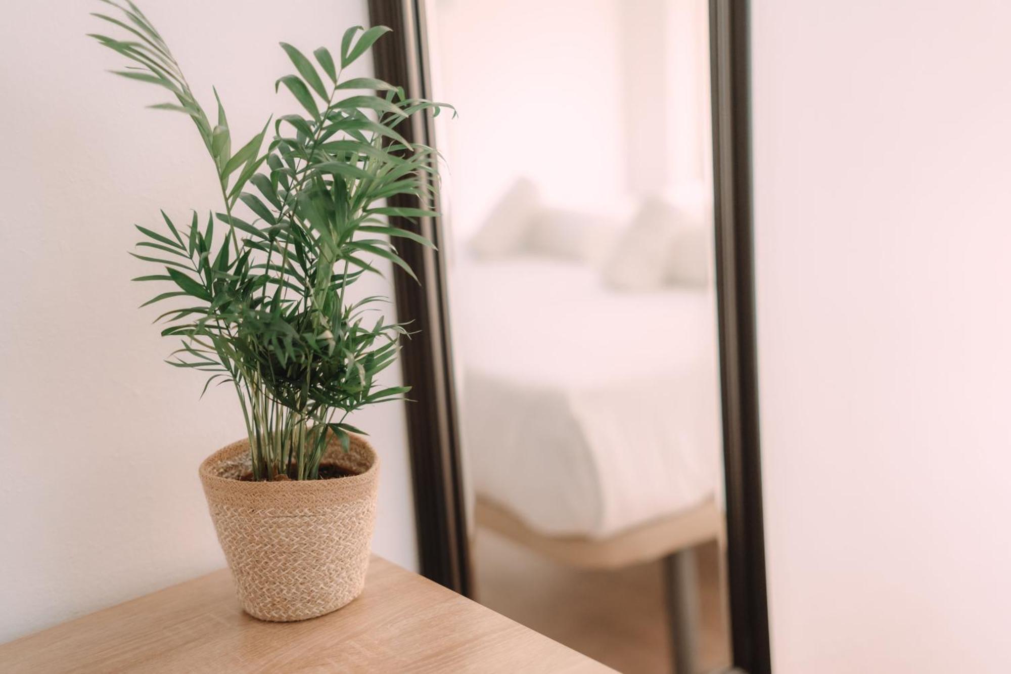 Concept Rooms Valencia Eksteriør bilde